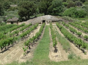 Grotte antique réutilisée au fil du temps, à Baumes de Venise, Vaucluse, France (ph.E.G.)